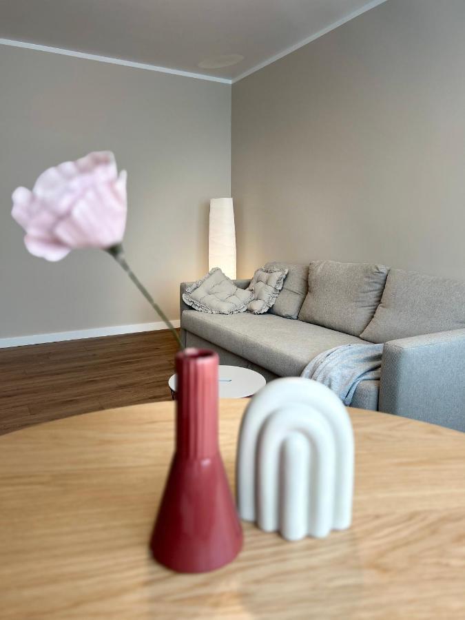Skandi Appartments In Saldus City Center מראה חיצוני תמונה
