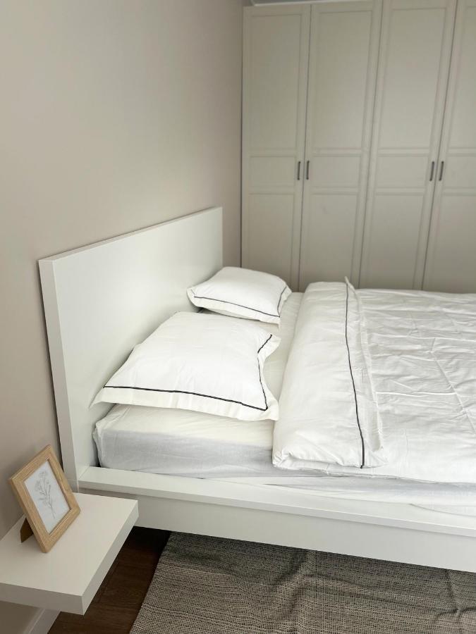 Skandi Appartments In Saldus City Center מראה חיצוני תמונה