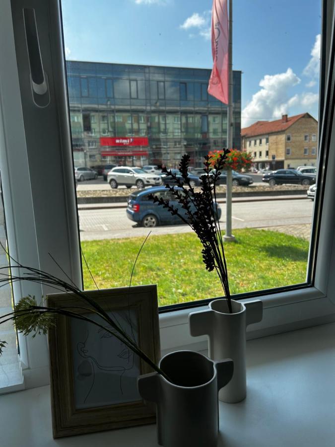 Skandi Appartments In Saldus City Center מראה חיצוני תמונה